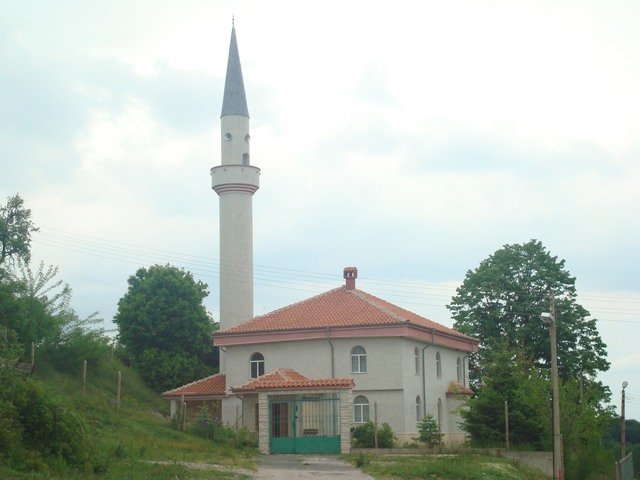 Panichkovo